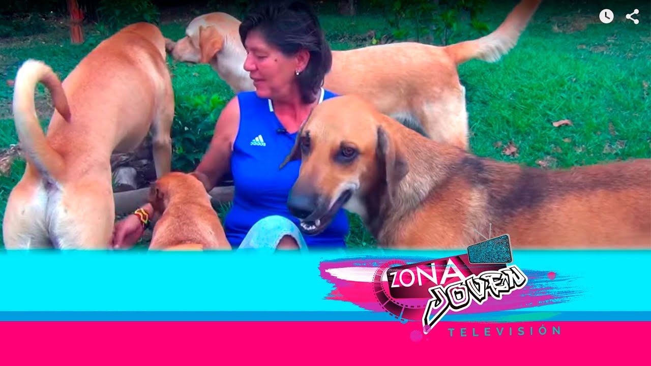  Verdadero amor animal- Ángela Gil, un ángel para los perritos de la calle