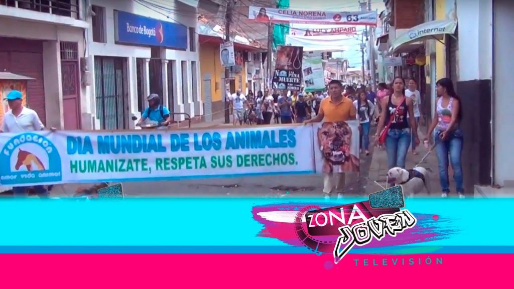 ¡NO! AL MALTRATO ANIMAL