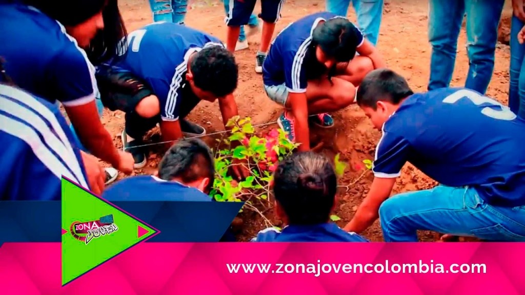 Jornada de Siembra de Árboles en Quilichao