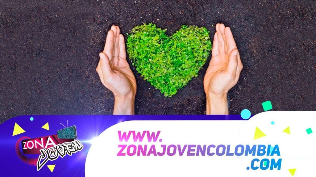 10 Tips para cuidar el ambiente
