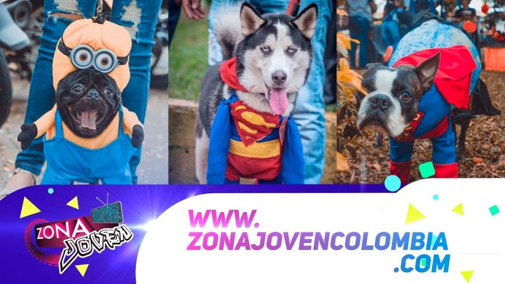 Así se vivió el Festival de Halloween para Mascotas en Santander de Quilichao 2017