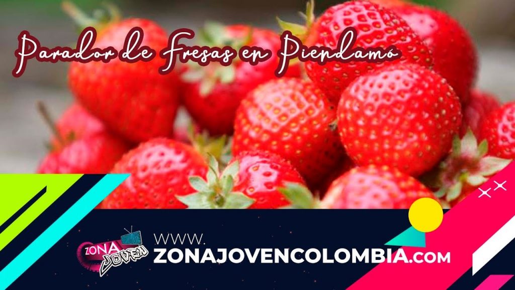 Parador La Fresa en Piendamó – Cauca