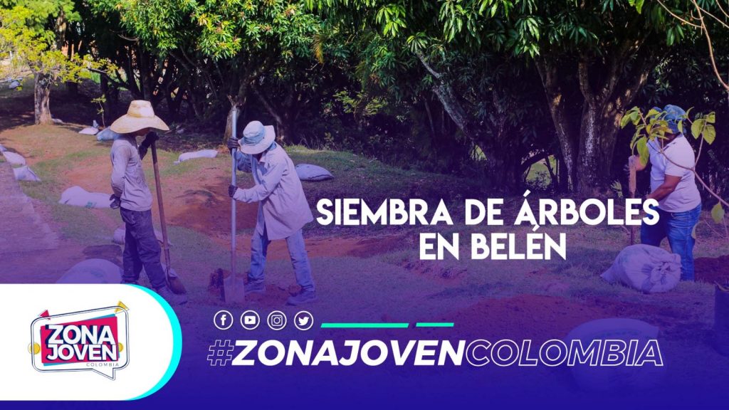 Jornada de siembra de árboles en Belén