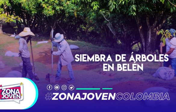  Jornada de siembra de árboles en Belén