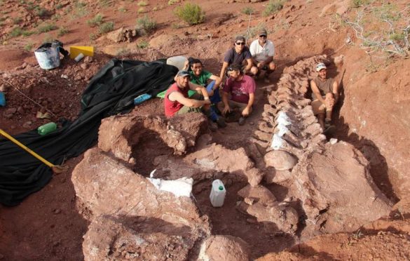  En Argentina hallan fósiles de un enorme dinosaurio que vivió hace 140 millones de años 🦖
