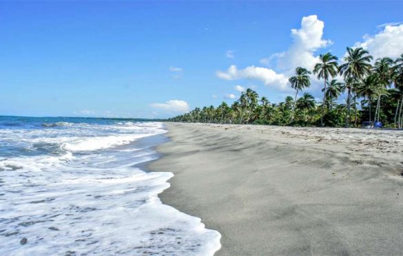  Lixi Go Travel llegó a la playa PALOMINO en la Guajira, encontró un increíble Hostal y Restaurante