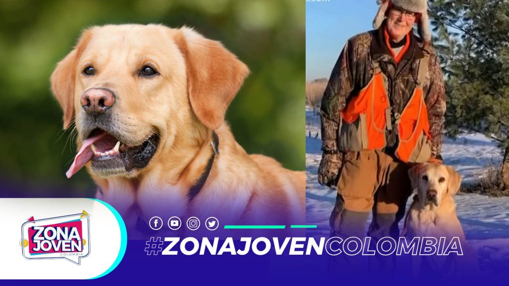 Gunter un labrador de 11 años y su dueño Daniel Hove | una historia de amor y lealtad