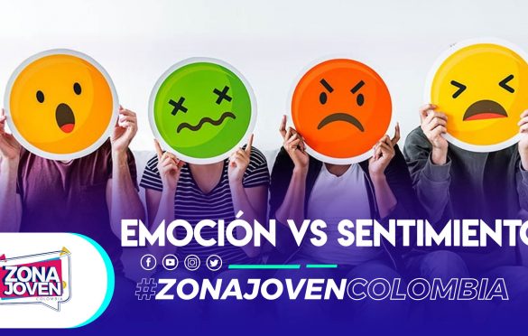  Diferencias entre emociones y sentimientos