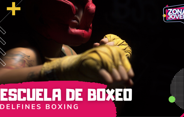  Delfines Boxing, Escuela de Boxeo