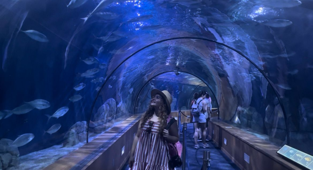 andrea mera en el oceanografic